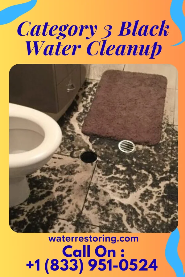 Category 3 Black Water Cleanup in Bradley Beach, NJ