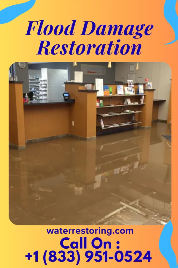 Flood Damage Restoration in Bradley Beach, NJ