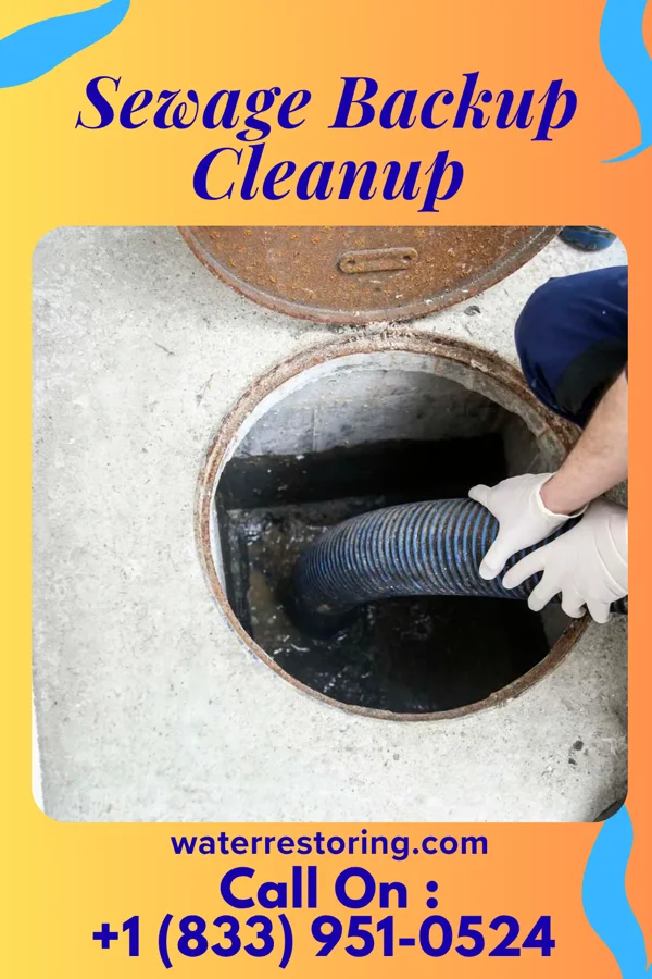 Sewage Backup Cleanup in Bradley Beach, NJ