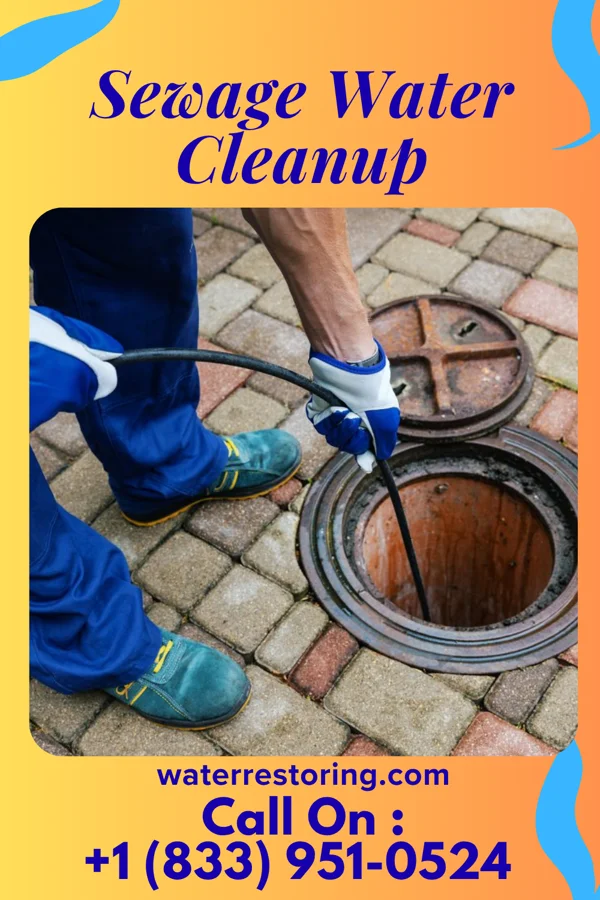 Sewage Water Cleanup in Bradley Beach, NJ