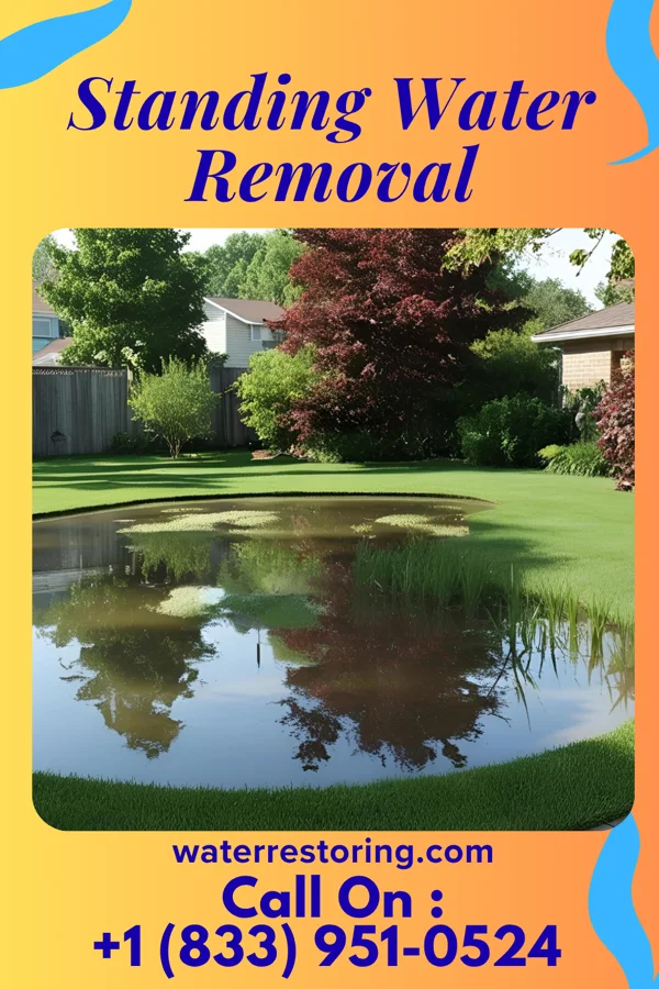 Standing Water Removal in Bradley Beach, NJ